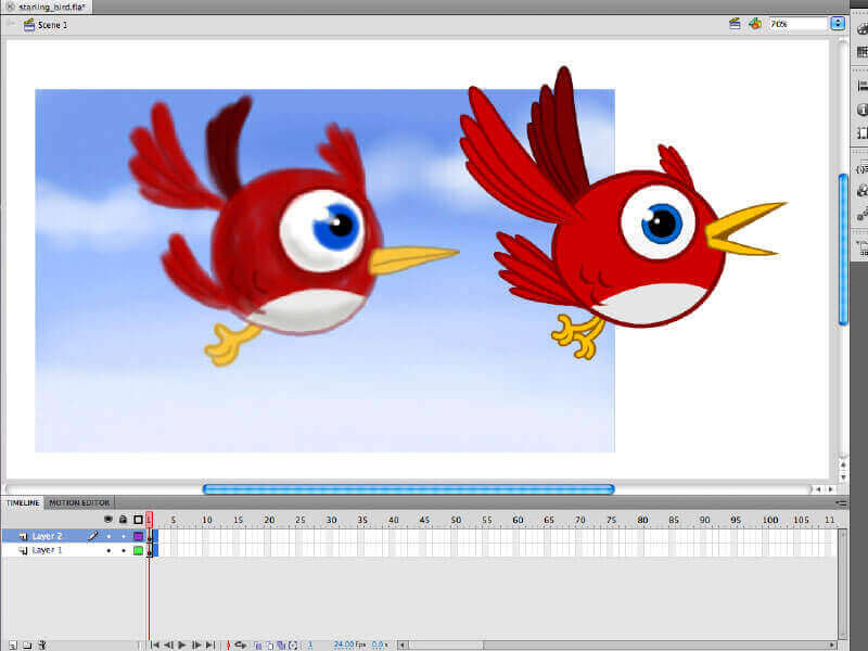 flash animation graphic